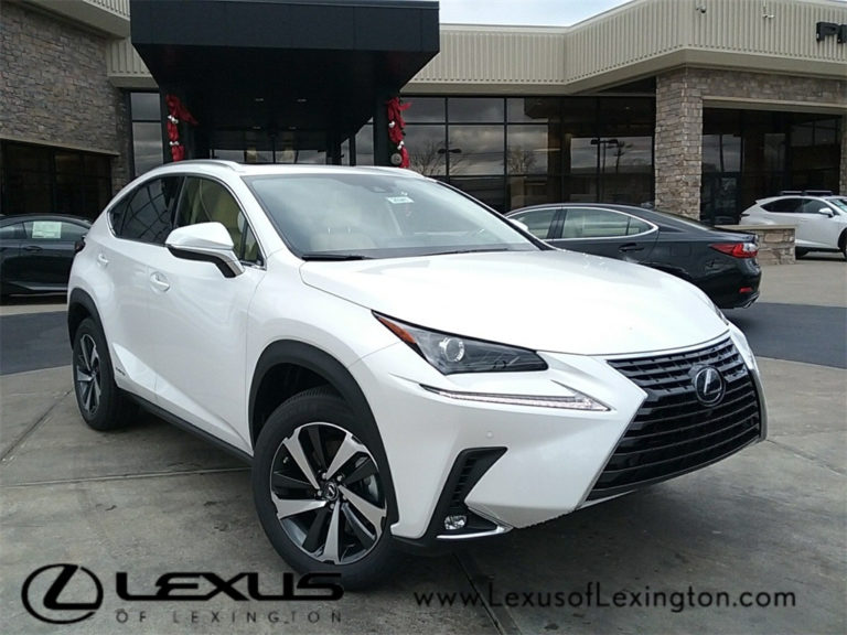 2021 Lexus Nx 300 Safety Rating, Seat Covers, Tire Size