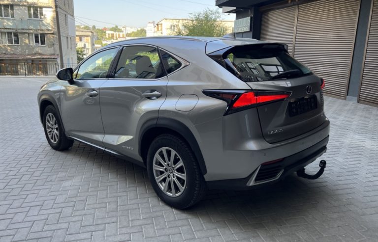 Exterior Colors Of 2024 Lexus NX Exterior