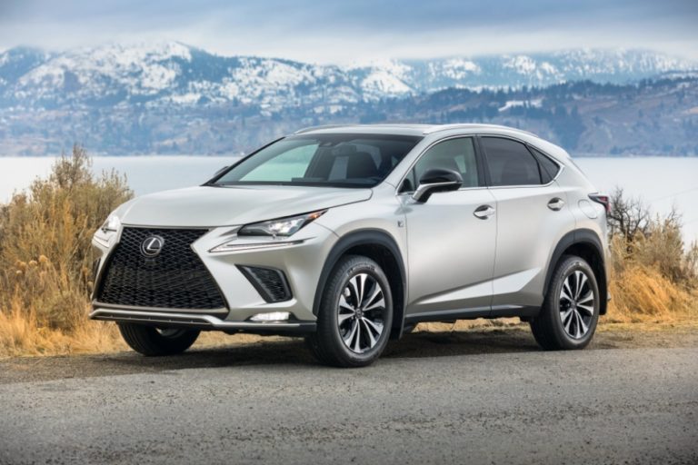 Length Of 2024 Lexus NX Exterior